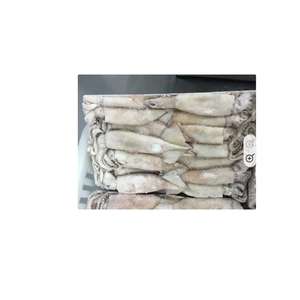 ปลาหมึกยักษ์แช่แข็ง ขายส่ง คุณภาพสูง อาหารทะเล IQF สำหรับส่งออกทั่วโลก - Product Image 6