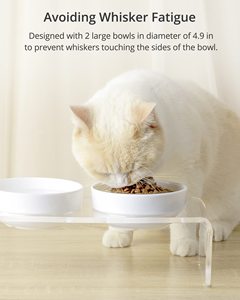 Tilted yükseltilmiş gıda ve su kaseler kedi veya küçük köpekler için standı köpeğin şeffaf akrilik seramik kaplar tutucu - Product Image 4