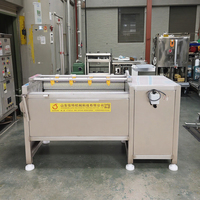 Chine Prix de la machine à éplucher le manioc Laveuse et machine à éplucher les pommes de terre Machine à laver les carottes