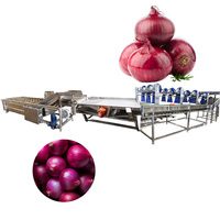 1 jaar garantie Automatische multifunctionele fruitverwerkingsinstallatie voor het reinigen van appels & peren en het wassen van groenten