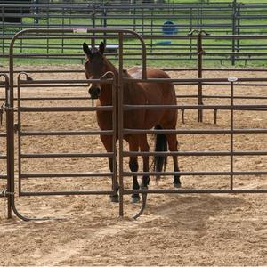 Dayanıklı galvanizli sığır hayvancılık çelik çiftlik çiti Panel Metal koyun sığır Corral Yard çit/at için taşınabilir çit panelleri - Product Image 1