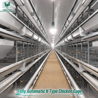 Système de cages automatiques pour poules pondeuses de type H avec convoyeur central de collecte des œufs pour ferme avicole de 50 000 oiseaux