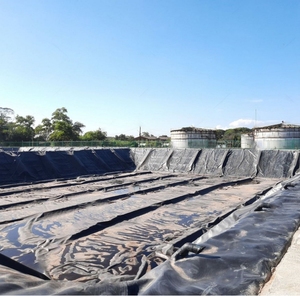 Géomembrane HDPE pour étangs de traitement des eaux usées Haute résistance chimique et à la corrosion Offre Spéciale 2025 prêt à expédier - Product Image 1