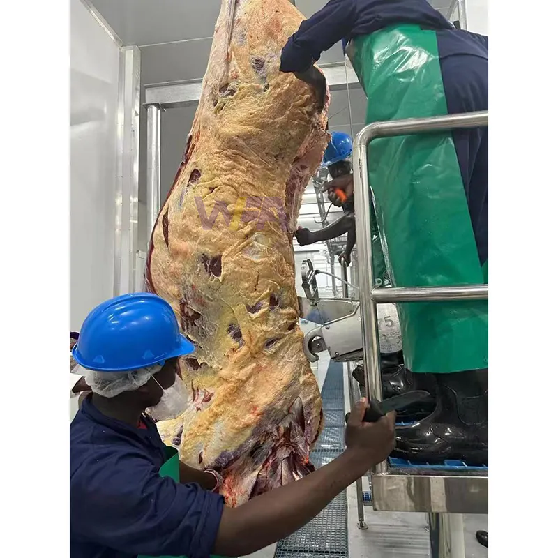 WFA Vacca su misura per macello macello linea di macellazione accordo con requisito internazionale di trasformazione alimentare di carne bovina Halal
