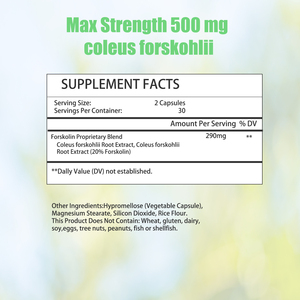 OEM ODM Capsules de perte de poids à force maximale 500 MG Mélange végétal de Coleus Forskohlii Soutient le métabolisme et l'énergie - Product Image 2