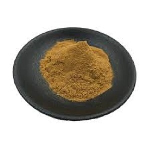 Extracto Natural de hojas de Cissus Quadrangularis 95% polvo de extracto de Cissus Quadrangularis DE LA India - Product Image 2