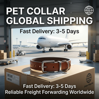 Service de transport de fret avec assurance d'expédition express vers des destinations mondiales via DHL/UPS/FedEx, prix compétitifs