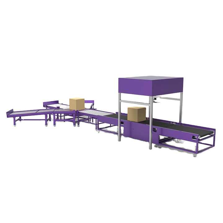 GOSUNM Dws System Parcel Sorting System Dimensioning Weighing Scanning Machine for Warehouse Logistic