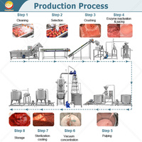 Ligne de production de ketchup de tomate à concentration entièrement automatique ORME