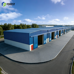 Edificio Comercial de Acero de Gran Envergadura, Tienda de Comestibles, Montaje Rápido, Sala de Exposiciones, Mercado de Alimentos, Lana de Roca, Diseño Moderno - Product Image 1