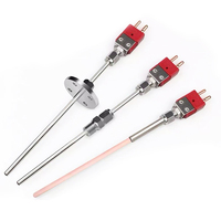 0~2300 ℃   Termopar de tungsteno-renio WRW-2300 WRe3/25 WRe5/26, sensor de alta temperatura para metalurgia al vacío y aeroespacial, longitud personalizada