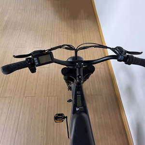 महिलाओं के टॉर्क सेंसर वसा टायर के माध्यम से इलेक्ट्रिक हाइब्रिड गंदगी बाइक इलेक्ट्रिक हाइब्रिड गंदगी बाइक - Product Image 5