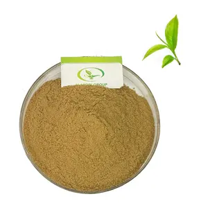 GMP-extracto de té verde en polvo, gran oferta, alta calidad