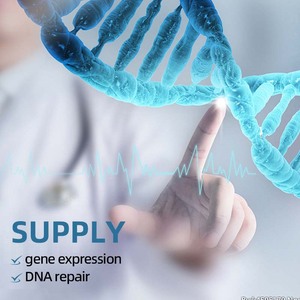 Factory Ionic <span class=keywords><strong>Zinc</strong></span> <span class=keywords><strong>Suplemento</strong></span> para niños y adultos Proporciona apoyo inmunológico y cuidado de la piel Gotas minerales de <span class=keywords><strong>zinc</strong></span> líquido - Product Image 4