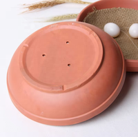 Fournitures d'élevage et de ponte en intérieur pour perroquets et autres oiseaux de compagnie, bassin de nidification violet multifonctionnel