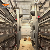 Équipement d'élevage commercial entièrement automatique pour 50 000 poussins, cage en batterie en acier galvanisé de type H pour poulettes