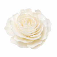 Stik Diffuser Reed Kayu Sola 6cm Motif Bunga Peony Daun Patah Buatan Tangan Dapat Diwarnai Dekorasi Rumah untuk Hadiah Pernikahan