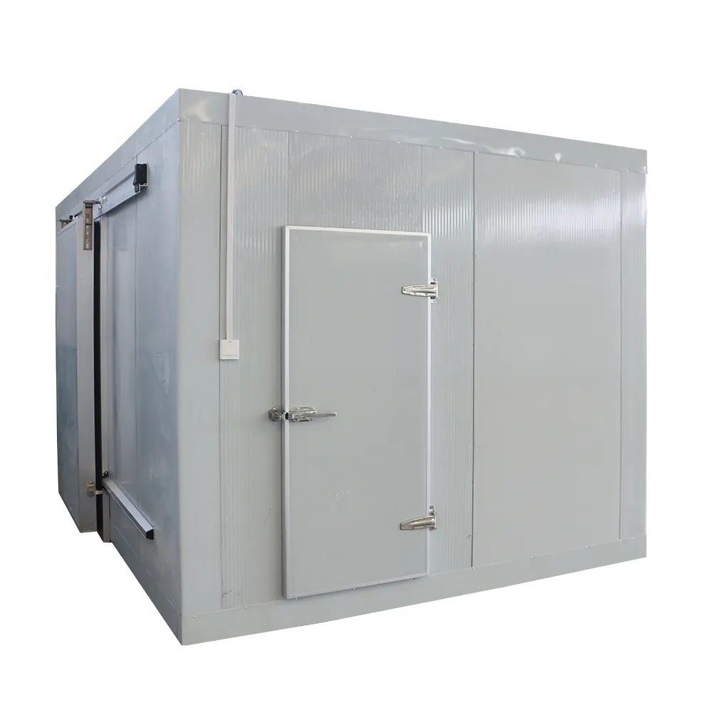 20ft Mobile Container Best power cold storage room for fish meat vegetable ice store cold room