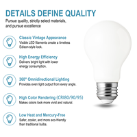 Ampoule LED en verre A19 de qualité supérieure 7W 2700K lumière ambrée Ra80 dimmable 15000 heures de durée de vie, culot E26/E27/B22 pour café, restaurant, maison