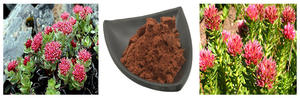 Hongda <span class=keywords><strong>Rhodiola</strong></span> <span class=keywords><strong>Rosea</strong></span> özü tozu 10% salidrodrodoğal <span class=keywords><strong>Rhodiola</strong></span> <span class=keywords><strong>Rosea</strong></span> özü - Product Image 2