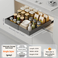 ROEASY Organisateur d'armoires de cuisine Panier à tiroir coulissant Plateau à épices divisé Panier de rangement intégré polyvalent