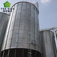 Silo à fond trémie en acier galvanisé pour le stockage de maïs, de soja et de tourteaux de soja pour l'alimentation du bétail et les usines d'aliments pour animaux