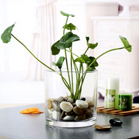 Vase carré en verre transparent, style minimaliste moderne, cylindre plat, tube droit, pour table, mariage, hydroponie, Pothos - Vente en gros usine