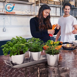 Prix usine 0.3 gallons intérieur <span class=keywords><strong>rebord</strong></span> <span class=keywords><strong>de</strong></span> fenêtre galvanisé jardinières avec trous <span class=keywords><strong>de</strong></span> drainage Pots <span class=keywords><strong>de</strong></span> fleurs <span class=keywords><strong>pour</strong></span> la décoration intérieure - Product Image 5