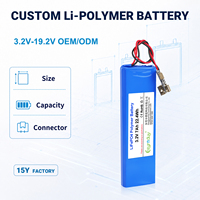 Batterie rechargeable LiFePO4 3,2 V 7000 mAh 22,4 Wh Marque OEM 3000 cycles 0~55°C pour alarme de sécurité, éclairage solaire et alimentation de secours