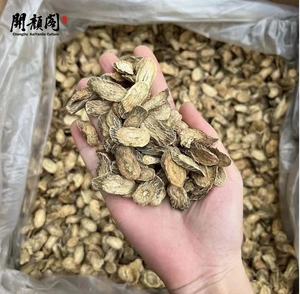 Оптовая продажа традиционных китайских трав: сушеный корень лопуха, нарезанный ломтиками, порошок лопуха, OEM, чайные пакетики, детокс, иммуностимулирующий чай KAIYANGE - Product Image 2