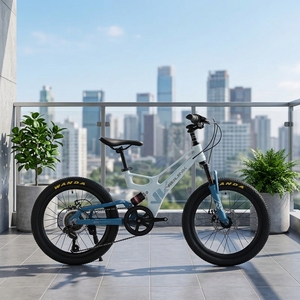 โรงงานขายส่งจักรยาน BMX เหล็ก 20 นิ้ว สำหรับเด็ก 7 สปีด รุ่นธรรมดา สำหรับเด็กผู้ชาย พร้อมดิสก์เบรกเพื่อความปลอดภัย รุ่น WL-1018 แบบธรรมดา - Product Image 6