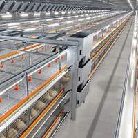 Système de cages à poules pondeuses personnalisé en usine pour la collecte automatique des œufs, équipement d'élevage avicole pour les grandes fermes pondeuses