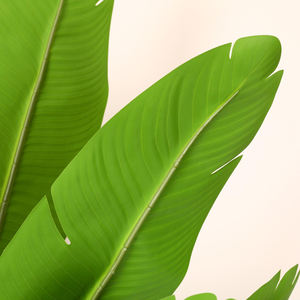 STD-LRJ תפאורה חיצונית פנימית קומה דמוית קומה פלסטיק צמח משי אפוי עצים טרופיים עצים טרופיים עם סיר עץ טרופי מלאכותי - Product Image 2