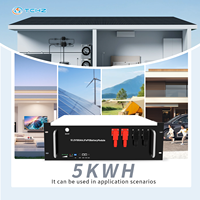 Batería LiFePO4 de 51.2V 100Ah para Montaje en Rack, Envío Global, OEM, 8000 Ciclos, para Almacenamiento de Energía Solar Doméstica Fuera de la Red