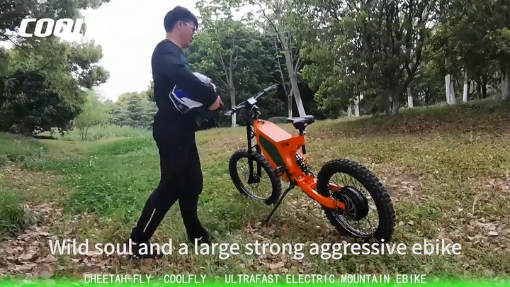 Novel Product 19/21inch Powerful B-52 Off-road Fast Stealth Bomber Electric  Bike 52