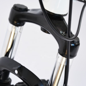 Vélo de montagne à une roue de 26 <span class=keywords><strong>pouces</strong></span> avec cadre en alliage d'aluminium, système de frein à disque à <span class=keywords><strong>24</strong></span> vitesses, fourche en acier - Product Image 3
