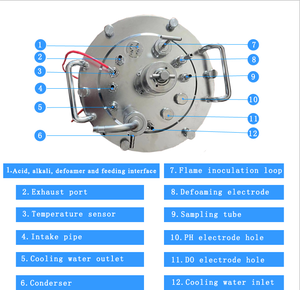 Fermentador Cónico de Vidrio para Laboratorio, Fermentador de Vidrio con <span class=keywords><strong>Espiga</strong></span>, Biorreactor de 10 l para Cultivo de Microorganismos, Levaduras y Hongos - Product Image 4