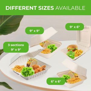 Biodegradable Disposable Cornstarch Lunch Box Clamshell Food <b>Container</b> Microwave Freeze Safe Camping <b>Takeaway</b> Takeout Packaging - Product Image 3