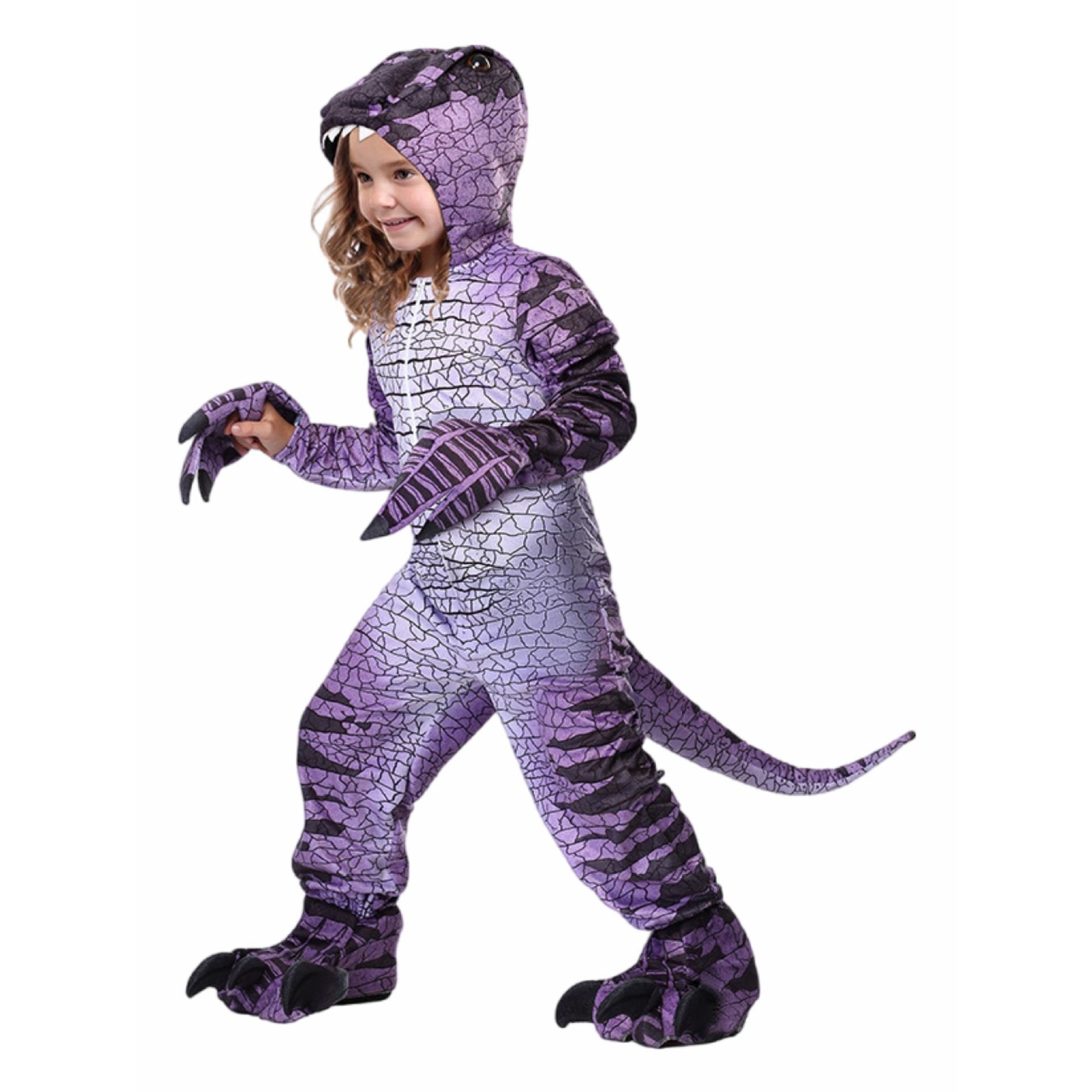 Dinosaurs and Raptors