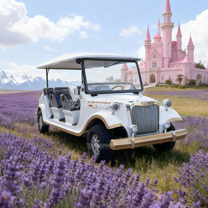 Nouvelle Arrivée 2026 – Voiture Électrique Vintage 6 Places Certifiée CE, Bus Touristique Classique pour Zones Touristiques, Événements et Mariages - Product Image 2