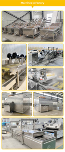 Ligne de production automatique de petits pois surgelés, machine de congélation à bande transporteuse, machine de congélation IQF - Product Image 4