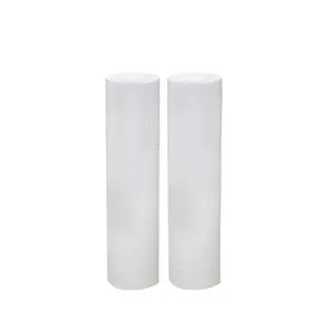 Heet Verkoop 10 Inch Water Pp Filter Naald Omgekeerde Osmose Filter