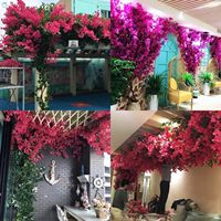 Bougainvilliers artificiels en soie orange et blancs pour décoration extérieure – Fleurs suspendues en forme de lianes