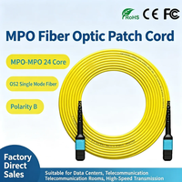 Cable de Fibra Óptica Multimodo MPO a MPO 24F OM3 Polaridad B de Baja Pérdida para Centro de Datos QSFP 40G 100G SR4 Troncal de Alta Densidad