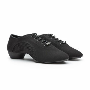 Zapatos de baile BD al por mayor de fábrica, nuevos en lona de malla, suela blanda de cuero, zapatos de baile latino para enseñanza para hombres, zapatos de salón para hombres - Product Image 4