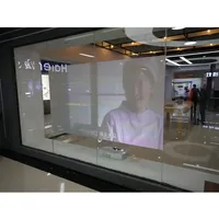 Tinted Advertising Display, Popular Window