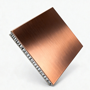Panneau en aluminium perforé en nid d'abeille anti-collision et antistatique pour usage hôtelier moderne, revêtement PVDF, design léger et ignifuge - Product Image 1