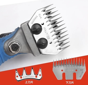 Máquina Eléctrica Agrícola para Afilar Esquiladoras de Lana y Pelo de Caballo, Máquina de Esquila Manual de Alta Potencia y Eficiencia - Product Image 3