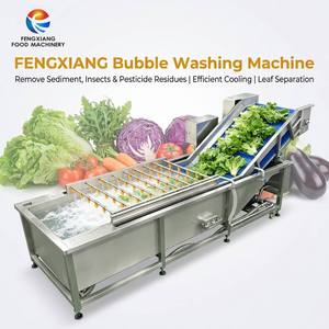 Máquina de Lavado de Frutas y Verduras Fengxiang, Máquina de Lavado de Burbujas para Berenjenas, Pimientos, Rúcula y Lechuga - Product Image 1