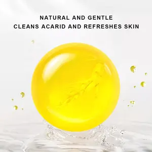 Natrual त्वचा की देखभाल तेल नियंत्रण Fershing चौरसाई दूर कण कार्बनिक Ginseng साबुन
